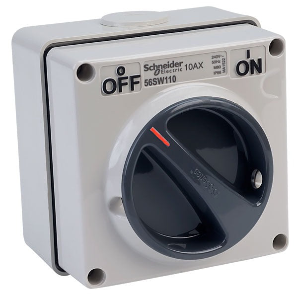 56SW110GY Schneider Electric