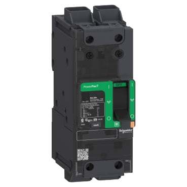 BDL26020 Schneider Electric