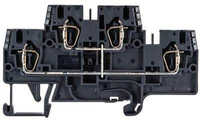 56.703.6955.1 Wieland