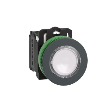 XB5FW31B5 Schneider Electric